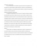 El Diagnostico organizacional.