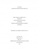 MATRIZ DE PLANIFICACIÓN DEL PROYECTO