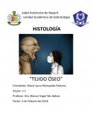 Tejido óseo