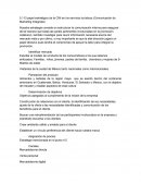 El papel estratégico de la CIM en los servicios turísticos