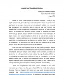 SOBRE LA TRANSDISCIPLINA