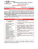 EL METODO DE APRENDIZAJE BASADO EN PROYECTOS.