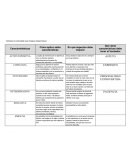 Practica Profesional.