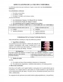 Articulaciones de la Columna vertebral.