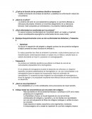 ¿Cuál es la función de las proteínas disulfuro isomerasa?