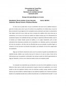 Ensayo del aprendizaje en el curso