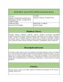 RESUMEN ANALITICO ESPECIALIZADO (RAE)