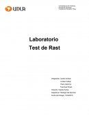 Laboratorio Test de Rast.