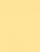 ¿Qué es el circulo cromatico?