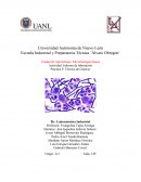 Actividad: Informe de laboratorio Técnica de Gram