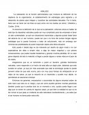 Analisis de planeacion administrativa