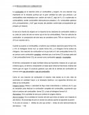 REACCIONES DE COMBUSTION.