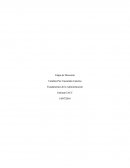 Fundamentos de la administracion tarea 3