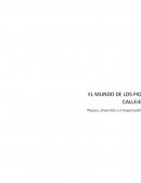 EL MUNDO DE LOS PIQUES CALLEJEROS