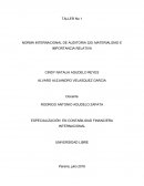 NORMA INTERNACIONAL DE AUDITORIA 320: MATERIALIDAD E IMPORTANCIA RELATIVA