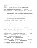 Análisis modal de fallos y efectos (AMFE) en Pavco S.A