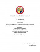 Practica Núm. 2: Manejo y uso del microscopio óptico compuesto