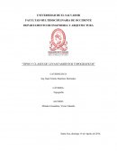 TIPOS DE LEVANTAMIENTOS TOPOGRAFICOS.