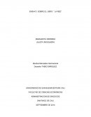 ENSAYO SOBRE EL LIBRO: “LA RED”