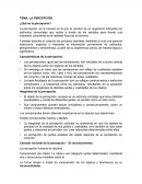 LA PERCEPCIÓN. ¿Qué es la percepción?