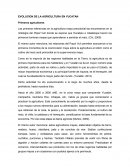 EVOLUCION DE LA AGRICULTURA EN YUCATAN