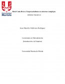 Hotel Caña Brava: Empresarialismo en entornos complejos.