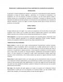 PRODUCCION Y COMERCIALIZACION DE POLLO CAMPESINO EN EL MUNICIPIO DE GACHANTIVA
