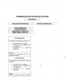 Indemnizacion por daño.