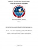 Diagrama de Flujo y Balance de Materia de café tostado entero y molido.