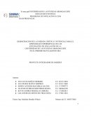 PROYECTO INTEGRADOR DE SABERES. DEMOSTRACIÓN DE LA ENERGÍA CINÉTICA Y POTENCIAL PARA EL APRENDIZAJE EXPERIMENTAL