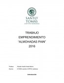 Emprendimiento- “ALMOHADAS PAIN”