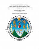 Tesis la corrupción en Guatemala