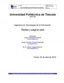 Ingeniería en Tecnologías de la Información Redes y pagina web