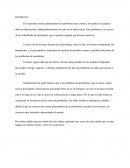 La Dificultad de aprendizaje.