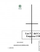 ANALISIS DE LAS 5C EMPRESA COPEC