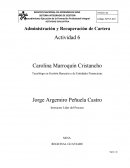 Actividad Administración y Recuperación de Cartera.