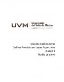 Ensayo Delitos Previstos en Leyes Especiales