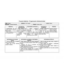 Proyecto Optimist – Programación Grafomotricidad. Página 1