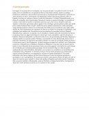 RESUMEN DEL LIBRO PIRATA GARRAPATA.