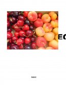 Proyecto empresarial FOL