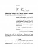 SEÑOR JUEZ DEL JUZGADO DE PAZ LETRADO DE TURNO DE LA PROVINCIA DE SAN ROMAN – JULIACA DEL DISTRITO JUDICIAL PUNO.