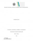 Analisis situacional.