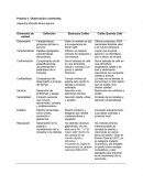 Comparacion Cielito Querido Cafe vs Starbucks Coffee.