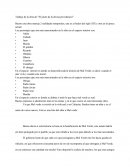 Trabajo de la obra de “El jinete de la divina providencia”