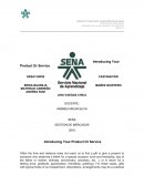 Introduccion al nicho de mercado.