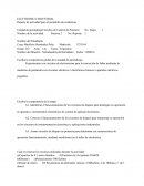 Reporte de actividad para el portafolio de evidencias