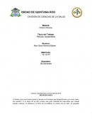 Resumen - Despertares.