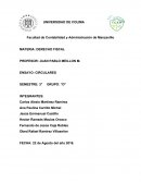 ENSAYO: CIRCULARES.
