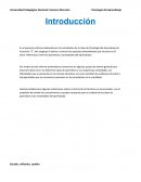 Informe de Psicología del aprendizaje.