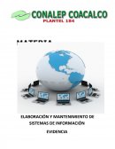 ELABORACIÓN Y MANTENIMIENTO DE SISTEMAS DE INFORMACIÓN